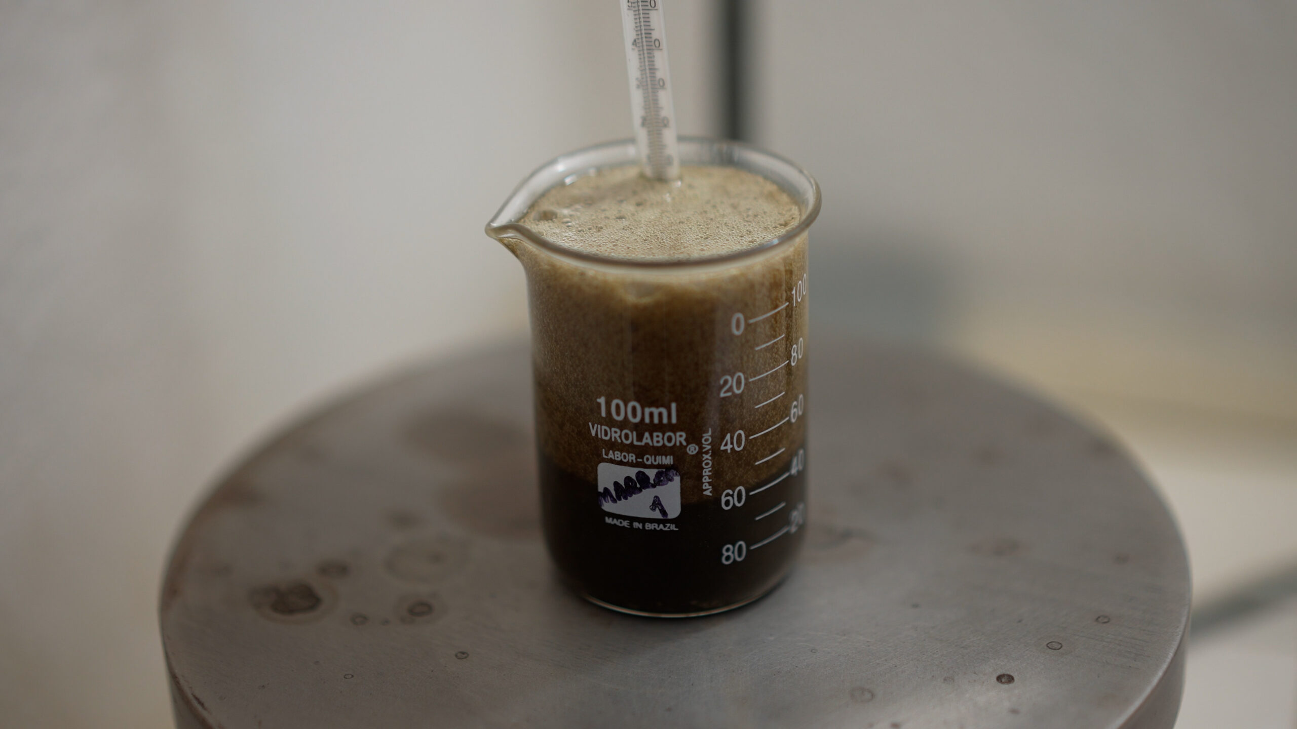 BRUTO.01_28_24_26.Still053