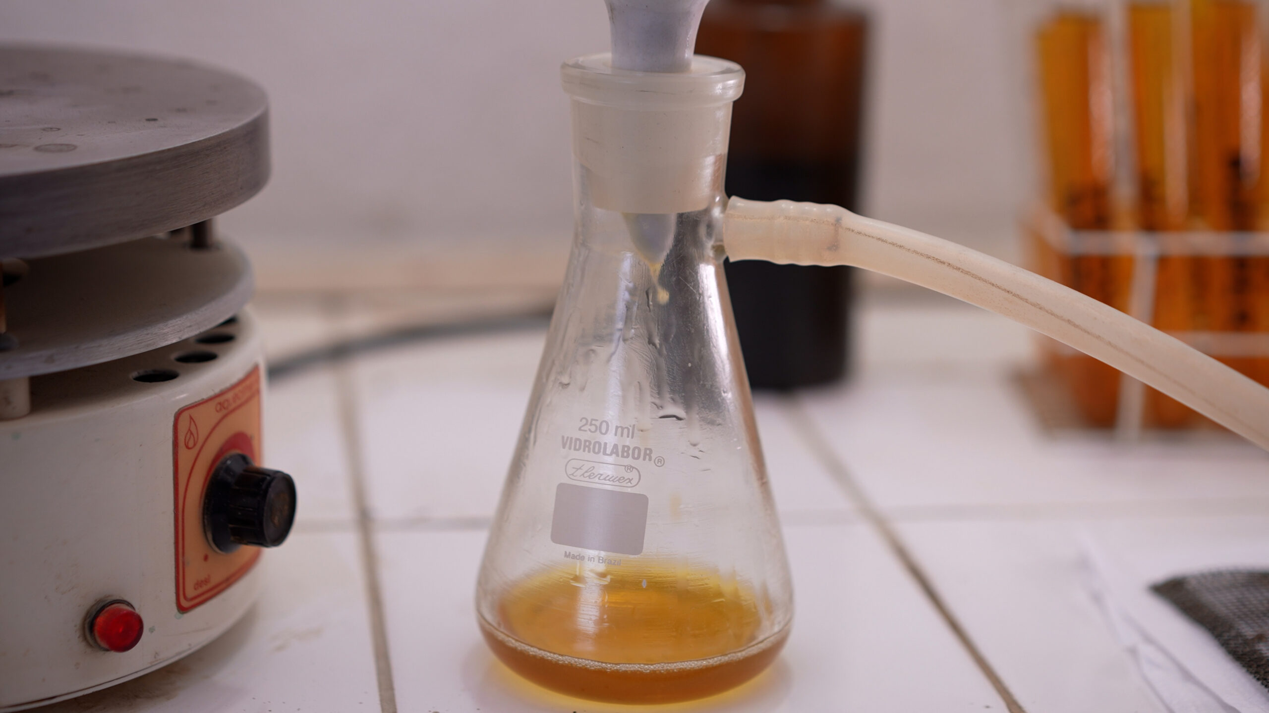 BRUTO.01_29_53_20.Still055